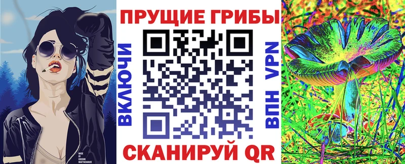 ОМГ ОМГ зеркало Сысерть Галлюциногенные грибы Psilocybine cubensis купить наркотики цена